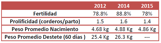 Peso vivo de los corderos mestizos respecto al promedio de las razas